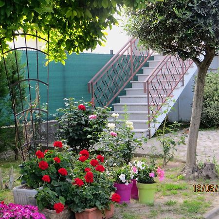 לינה וארוחת בוקר Terzo d' Aquileia 5 Palme מראה חיצוני תמונה