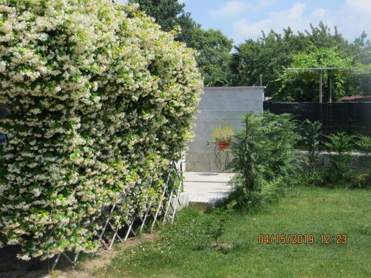 לינה וארוחת בוקר Terzo d' Aquileia 5 Palme מראה חיצוני תמונה