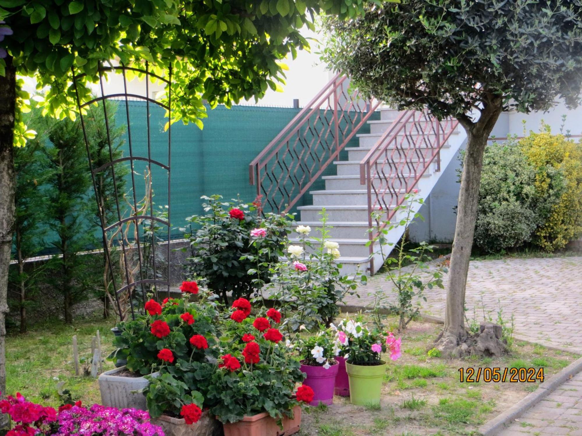 לינה וארוחת בוקר Terzo d' Aquileia 5 Palme מראה חיצוני תמונה